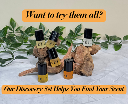 Side-by-side comparison of 2ml Discovery Set and full-size 15ml bottle to show product range
